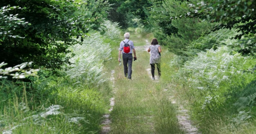 Le GR11 (en Île-de-France)
