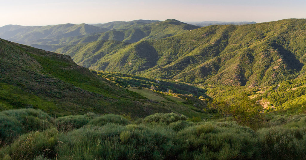 les chemins de stevenson