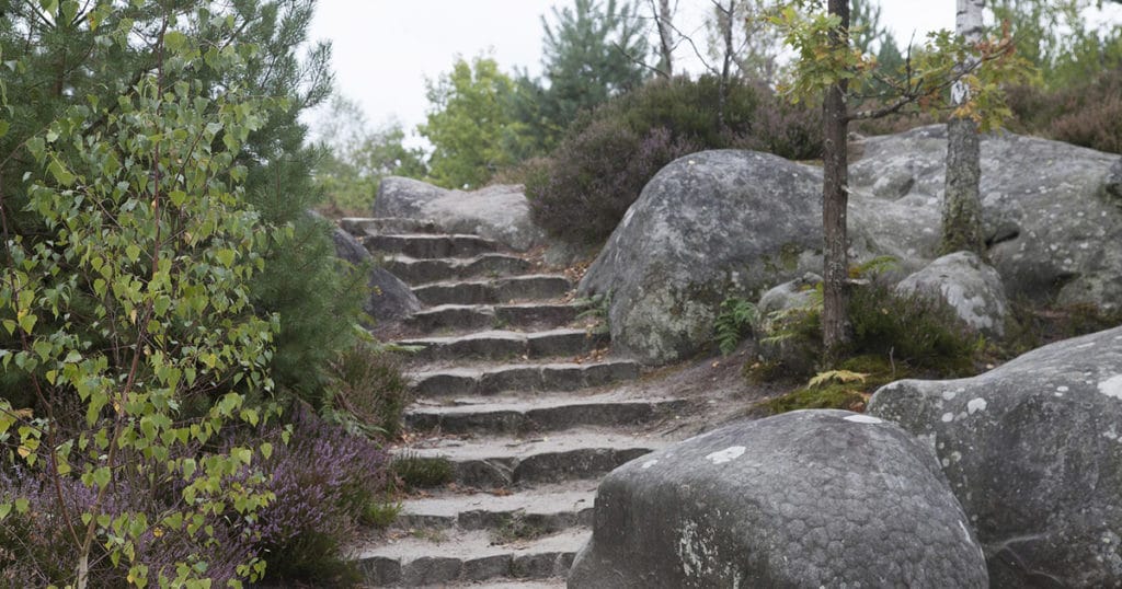 Le GR1, ce qu’il faut savoir