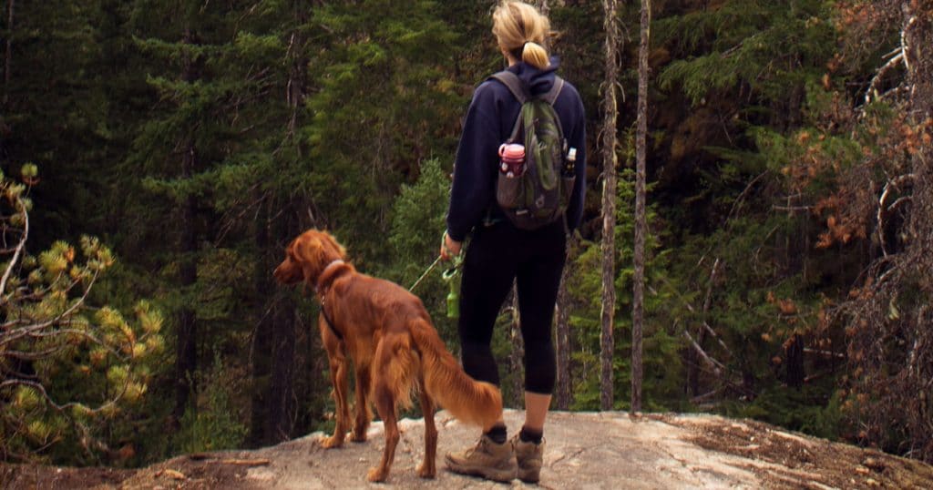 Faire de la rando avec son chien : nos conseils pour bien se préparer.