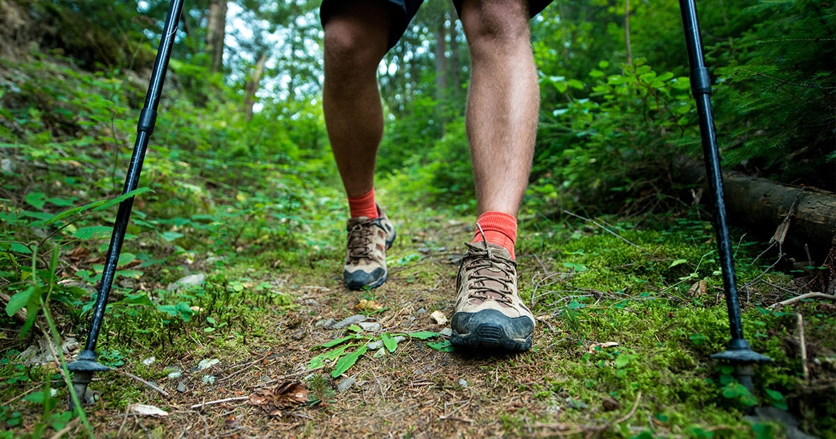 Bien choisir ses bâtons de randonnée